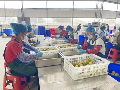 武平 文明新風(fēng)里的甜蜜果實(shí)